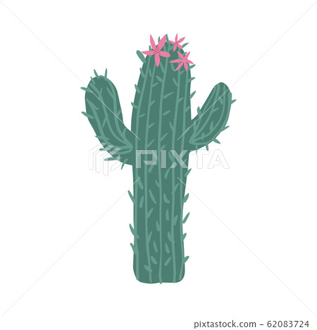 Cacti flower isolated on white background. Cactus - Stock Illustration ...