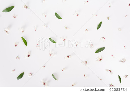 Little white floral buds and green leafs. 62083784
