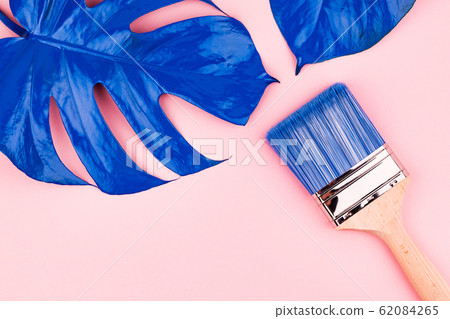 Blue brush and two leaves of plant. Blue brush and two leaves of plant. 62084265