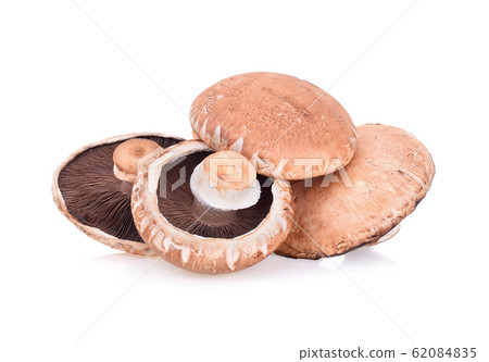 Portobello mushroom isolated on white background 62084835