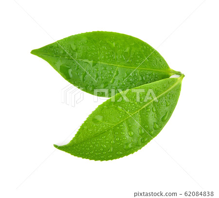 Top view of isolated on white background Top view of isolated on white background 62084838