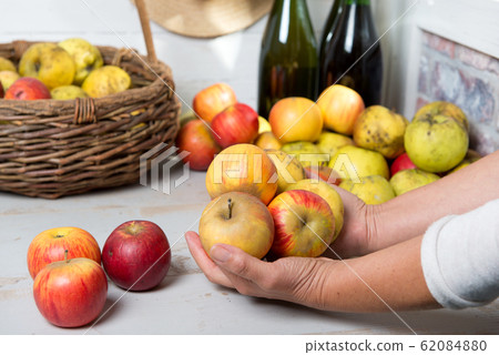 man holding the beautiful apples of Normandy man holding the beautiful apples of Normandy 62084880