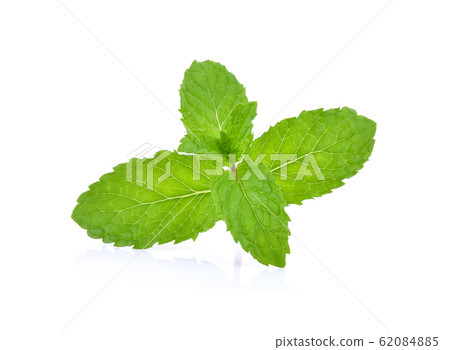 Mint leaves isolated on white background. 62084885