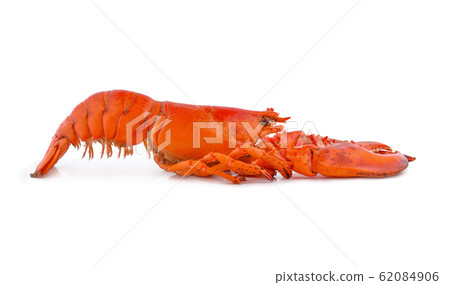 Cooked European common lobster isolated on a white 62084906