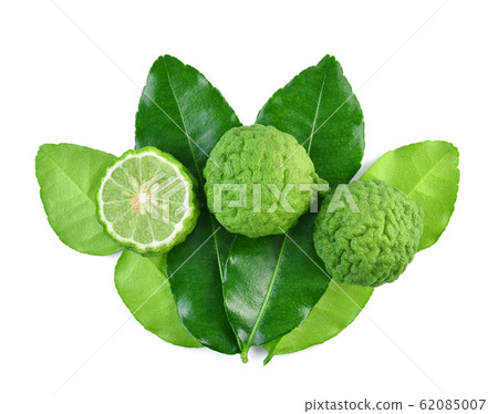 Top view of Bergamot fruit isolated on the white 62085007