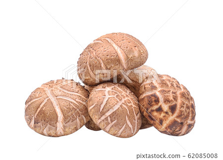 Shiitake Mushrooms on white background 62085008