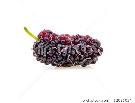 Mulberry Isolated on white background Mulberry Isolated on white background 62085034