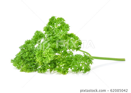 Parsley isolated on white background Parsley isolated on white background 62085042