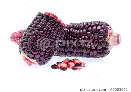purple corn on white background 62085051