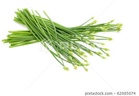 Chives flower or Chinese Chive isolated on white Chives flower or Chinese Chive isolated on white 62085074