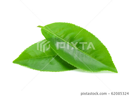 green tea leaf isolated on white background 62085324