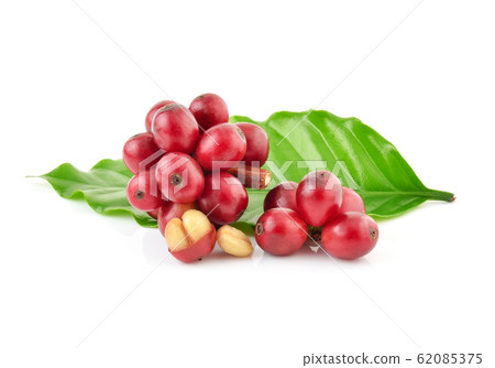 Red coffee beans isolated on white background Red coffee beans isolated on white background 62085375