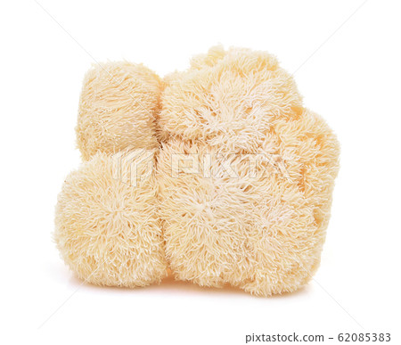 Lion mane mushroom isolated on white background Lion mane mushroom isolated on white background 62085383