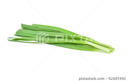 Garlic chives isolated on white background Garlic chives isolated on white background 62085492
