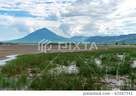 Pink lesser Flamingos at Lake Natron with Ol Doinyo Lengai volcano on background in Rift valley, Tanzania Pink lesser Flamingos at Lake Natron with Ol Doinyo Lengai volcano on background in Rift valley, Tanzania 62087341