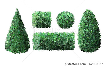 Realistic garden bushes. Topiary gardener fence, geometrical tree crown bush foliage nature green seasonal shrub, green fence vector illustration set Realistic garden bushes. Topiary gardener fence, geometrical tree crown bush foliage nature green seasonal shrub, green fence vector illustration set 62088144