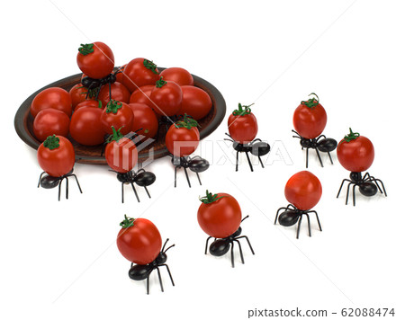 Funny decorative ants carrying tomatoes in a plate Funny decorative ants carrying tomatoes in a plate 62088474