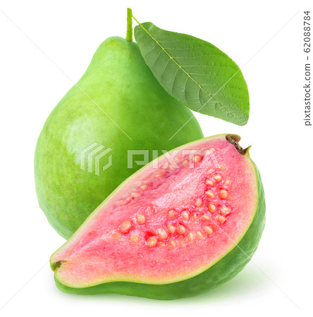 Isolated green guava fruit 62088784