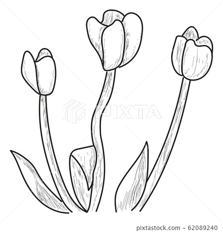 Isolated flower sketch 62089240