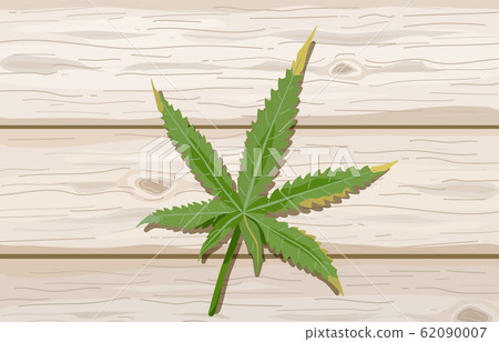 Single cannabis leaf on wood background. Hemp leaves on wooden tables. Marijuana vector illustration 62090007