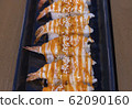 Japanese food that looks delicious 62090160