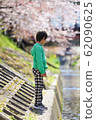 A boy standing on a row of cherry trees 62090625