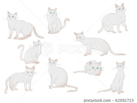 Watercolor Style White Cat Illustration Set Stock Illustration