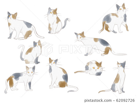 Watercolor Style Calico Cat Illustration Set Stock Illustration