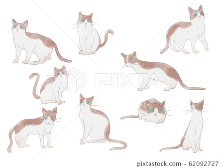 Watercolor style cat illustration set Watercolor style cat illustration set 62092727