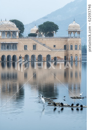 jal mahal birds jal mahal birds 62093746