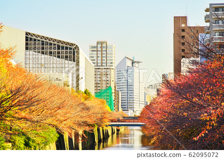 View of autumn leaves from Meguro River Nakame Park Bridge View of autumn leaves from Meguro River Nakame Park Bridge 62095072
