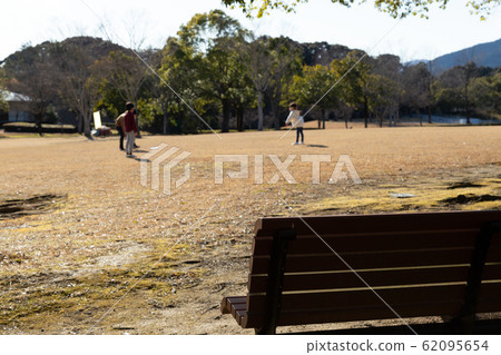 Families playing in the park 62095654