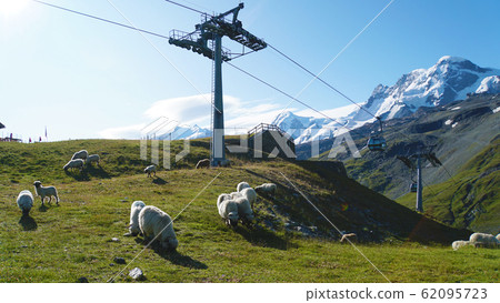 Alps mountains and Swiss sheep living there 62095723