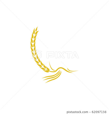Agriculture wheat Logo Template vector icon design Agriculture wheat Logo Template vector icon design 62097138