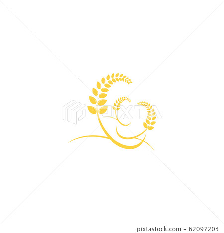 Agriculture wheat Logo Template vector icon design 62097203