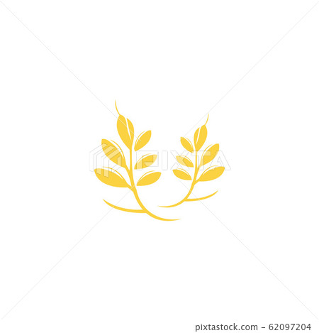 Agriculture wheat Logo Template vector icon design 62097204