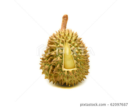Durian isolated / Tropical fruit of fresh durian Durian isolated / Tropical fruit of fresh durian 62097687