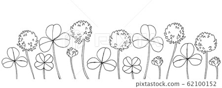 白三葉草線描 62100152