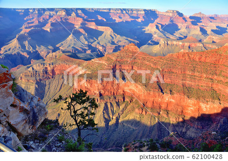Grand Canyon Mercer Point 62100428