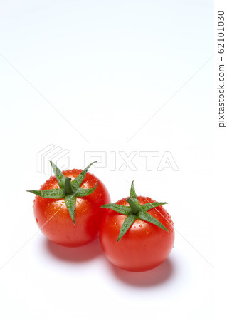 小西紅柿 小西紅柿 62101030