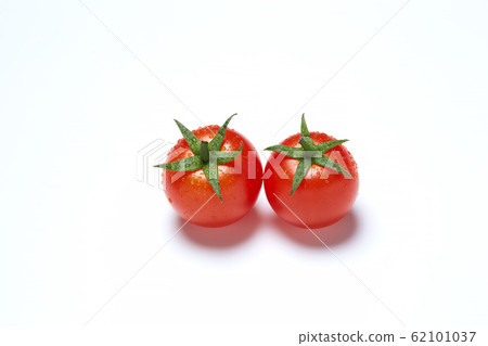 小西紅柿 62101037