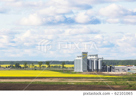 Field of rapeseed flowers, plant for cleaning and 62101065