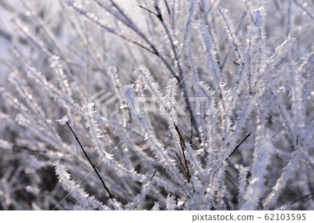  Foggy ice 62103595