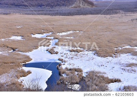 Kottaro Mire 62103603