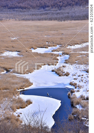 Kottaro Mire 62103604