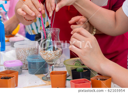 Planting trees, arranging a terrarium for home Planting trees, arranging a terrarium for home 62103954