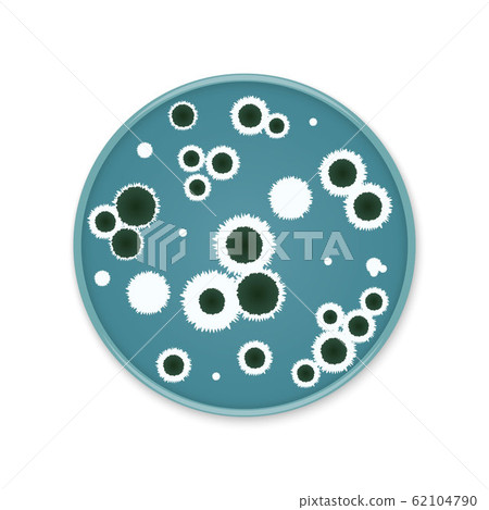 Bacteria colony spots on round dishes 62104790