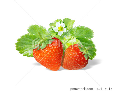 草莓_image 3 62105017