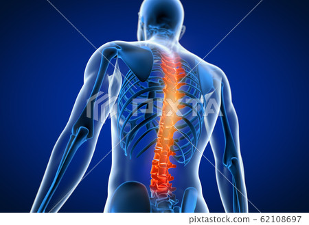 3d rendered medically accurate illustration of a - Stock Illustration ...