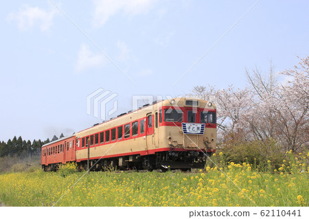盛開櫻花的夷umi鐵道快車 62110441